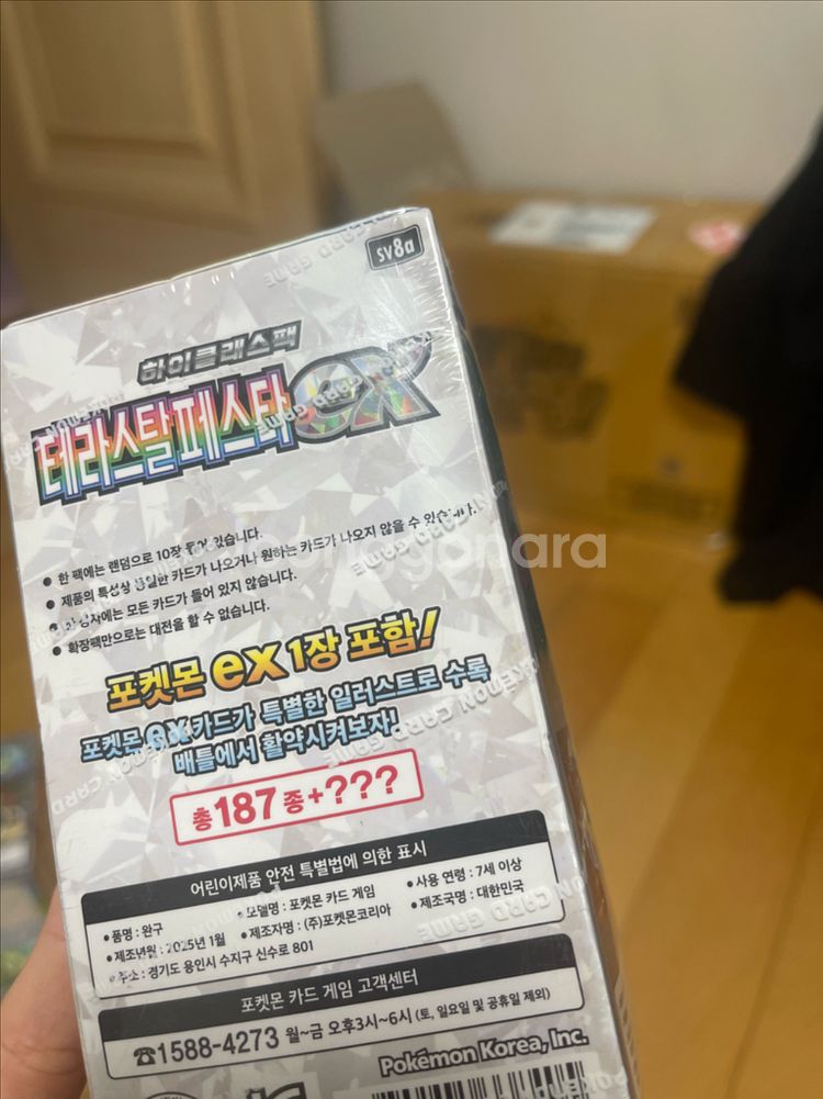 포켓몬카드 테라스탈 페스타 ex--5