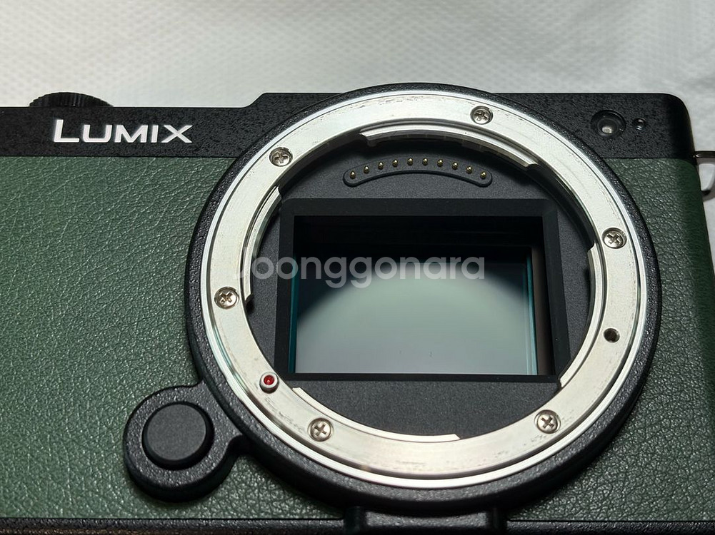 파나소닉 S9 카메라 다크올리브--6