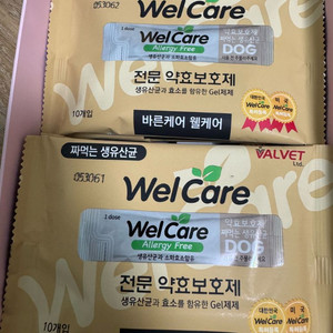 강아지 웰케어 유산균 80개 일괄