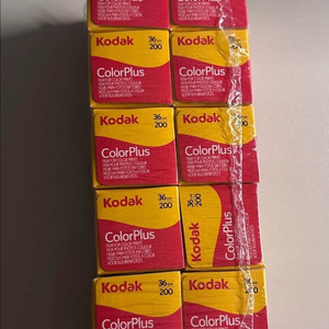 코딕컬러플러스 필름 36컷 10롤