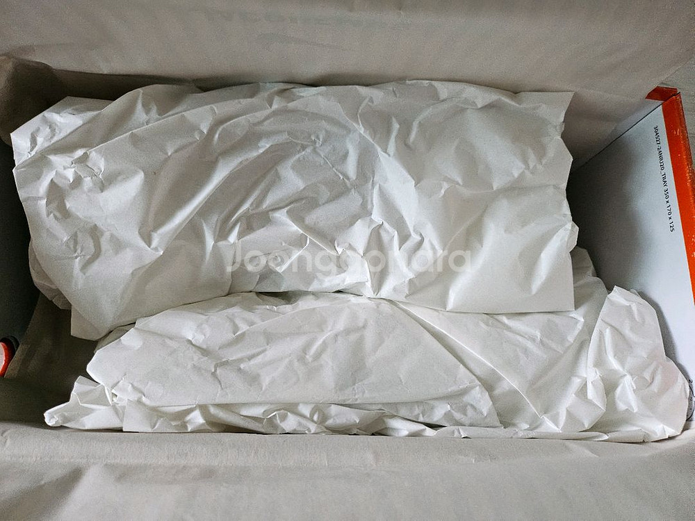 나이키 자크뮈스 문슈즈--4