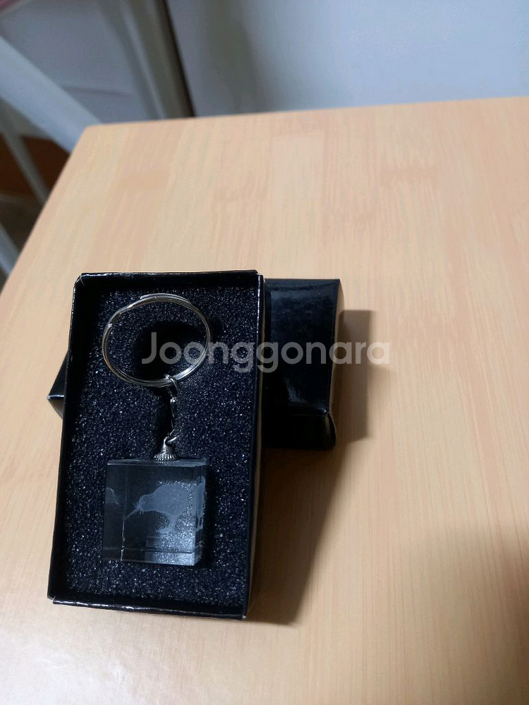 키위새 열쇠고리 뉴질랜드 제품--0