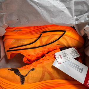 [270] 디비에이트 나이트로 엘리트 3