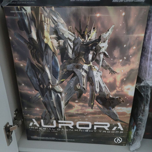 인피니트 디멘션 서광 오로라 무한신성