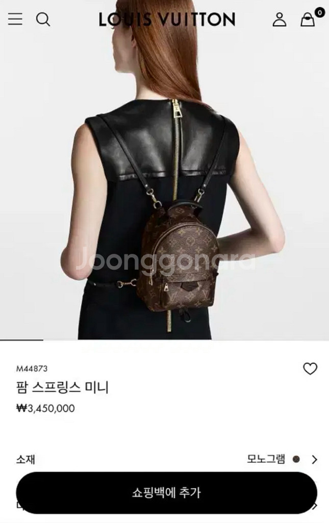 루이비통 팜스프링스 미니 백팩--1