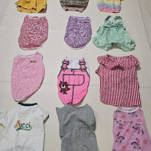 강아지 옷 2xl 3xl 16벌 일괄