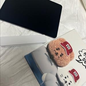아이패드 프로 M4 13인치 256기가 WIFI모델
