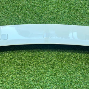 그랜드카니발 온지구 스포일러