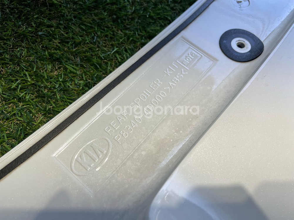 그랜드카니발 온지구 스포일러--4