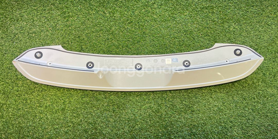 그랜드카니발 온지구 스포일러--2