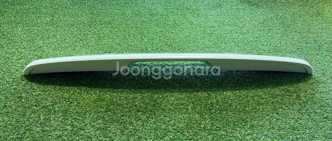 그랜드카니발 온지구 스포일러--1