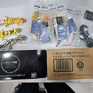 반다이 생물대도감 레오파드게코 세트