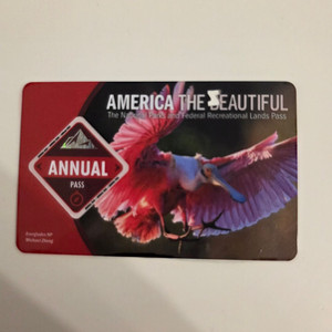 애뉴얼패스 2026.4월 만료 (에뉴얼패스)