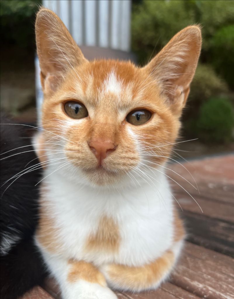 profile-image