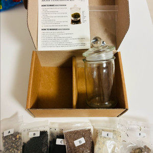 데스크 테리어 인테리어 힐링용 미니 테라리움 키트