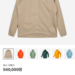 아크테릭스 스쿼미시 스모크블러프 L