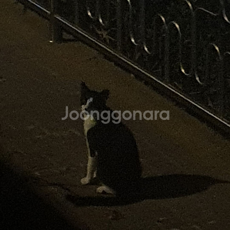 네이버 선물하기 80%에 판매합니다--0