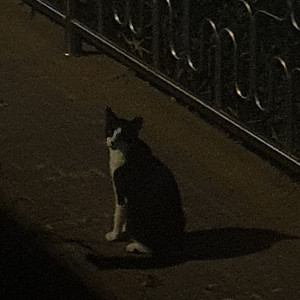 네이버 선물하기 80%에 판매합니다