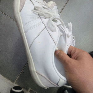라코스테 245