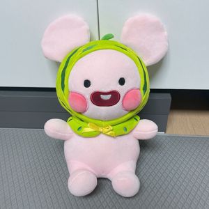 수박 베이비 어피치 인형