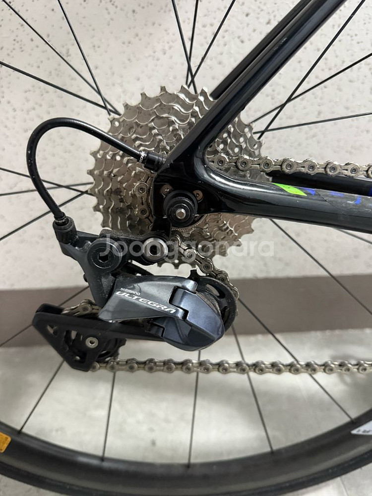 2019 자이언트 tcr 어드밴스1 se (52)201--2