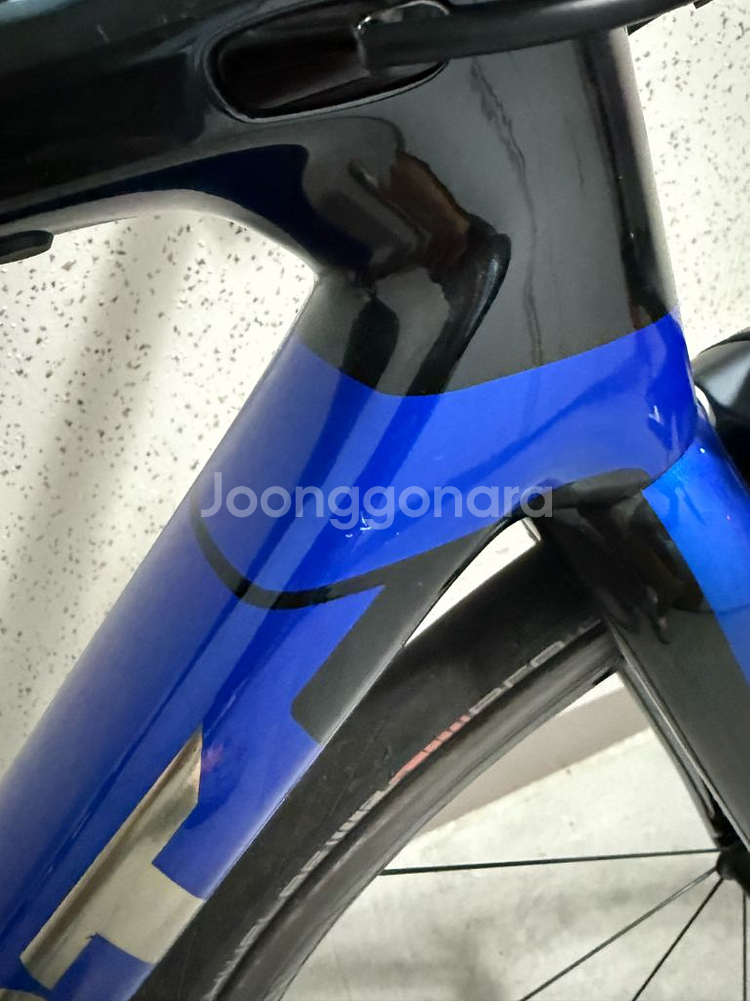 2019 자이언트 tcr 어드밴스1 se (52)201--5