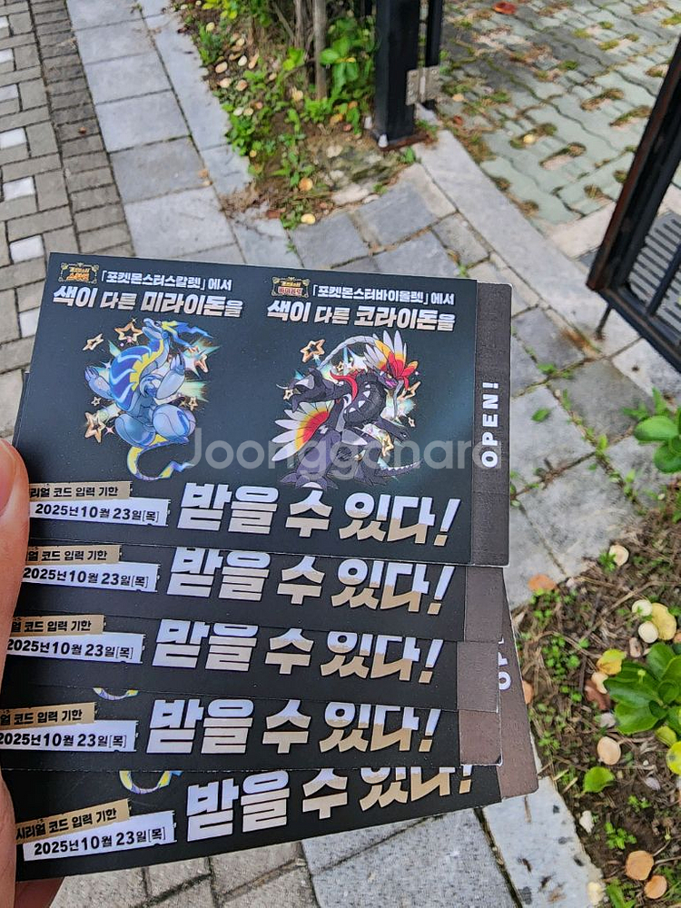 포켓몬 미라이돈/코라이돈 코드--0