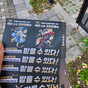 포켓몬 미라이돈/코라이돈 코드