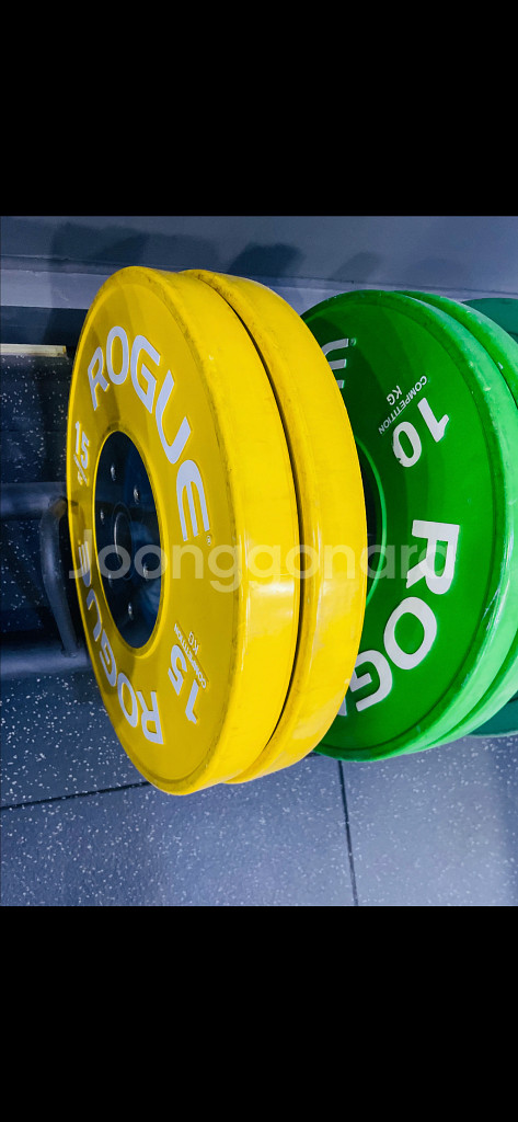 로그[ROGUE] 컴페티션 원판 풀셋--1