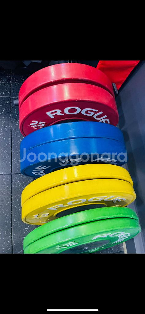 로그[ROGUE] 컴페티션 원판 풀셋--2