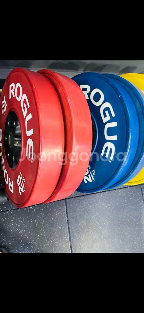 로그[ROGUE] 컴페티션 원판 풀셋--0