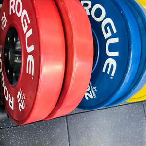 로그[ROGUE] 컴페티션 원판 풀셋