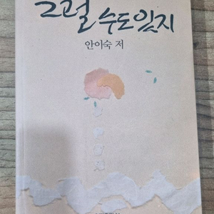 그럴수도있지 (안이숙저)