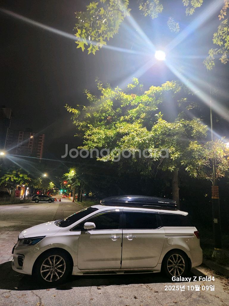 카니발 교토 일체형 루프박스--1