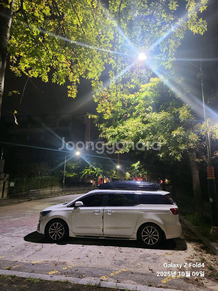 카니발 교토 일체형 루프박스--0