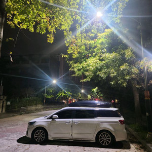 카니발 교토 일체형 루프박스