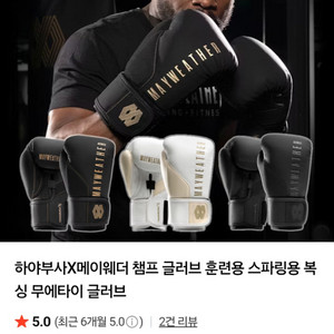 하야부사X메이웨더 챔프 복싱 글러브16oz (마지막)
