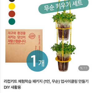 무순 키우기 세트