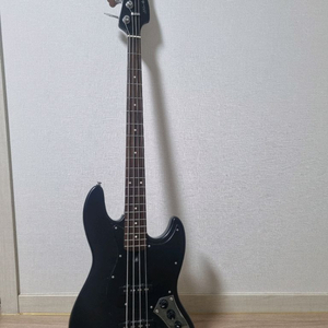 입문용 베이스 데임 VS5