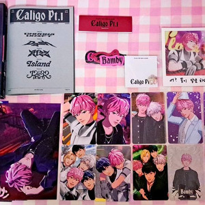 플레이브 밤비 뱅가드 폴라로이드 2주년 팝업 포카 등