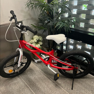 로얄베이비 셔틀 18인치 10만원 판매