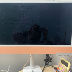애플 아이맥 24인치 M1 CTO 16GB 2TB 피치