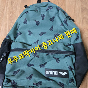 아레나 선인장 백팩 30L
