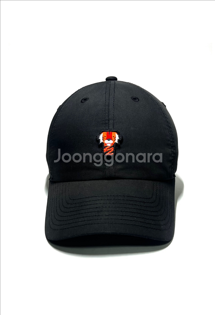 나이키 초레어 빈티지 미국 타이거우즈 볼캡 모자--2