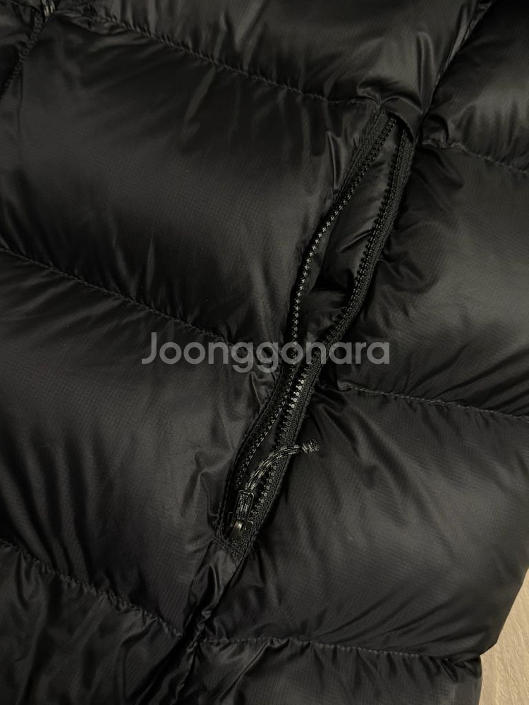 파타고니아 피츠로이 패딩 우먼 L 블랙--5