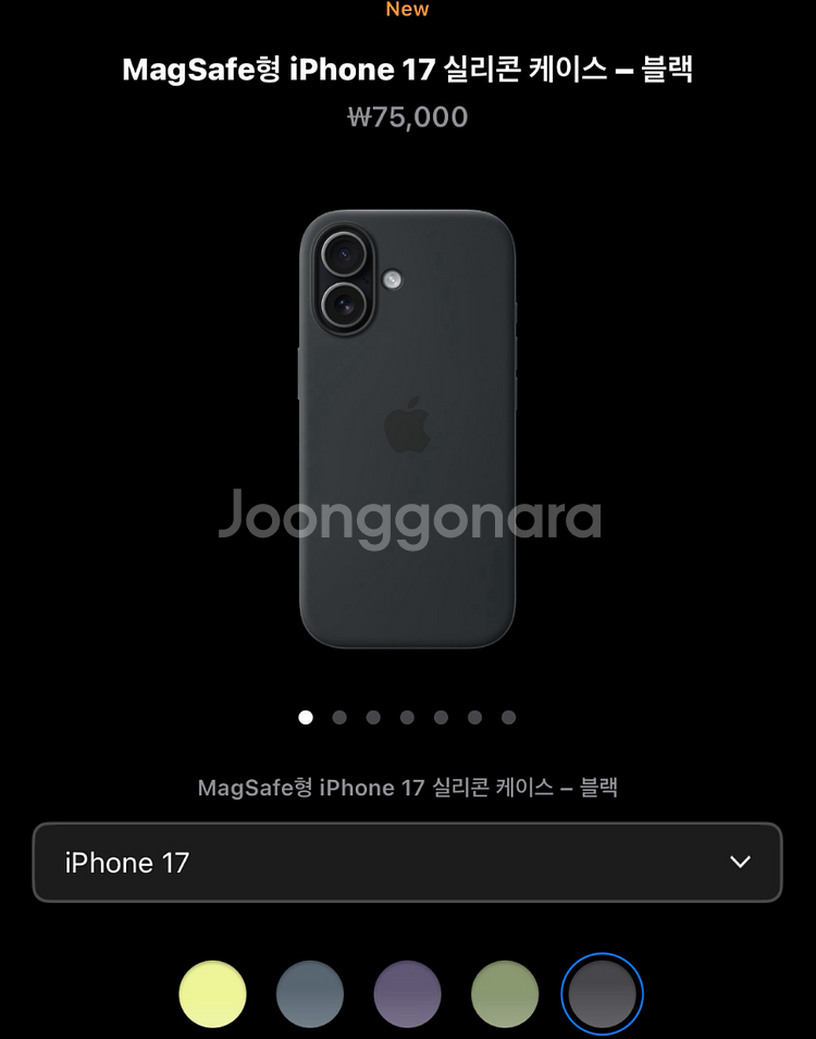 아이폰17 애플정품케이스 블랙 팝니다--0