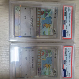 포켓몬카드 메타몽프로모 psa10 등급카드 연번 두개