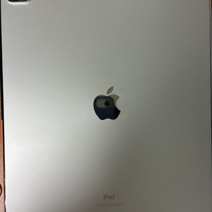 아이패드 프로 12.9+애플펜슬