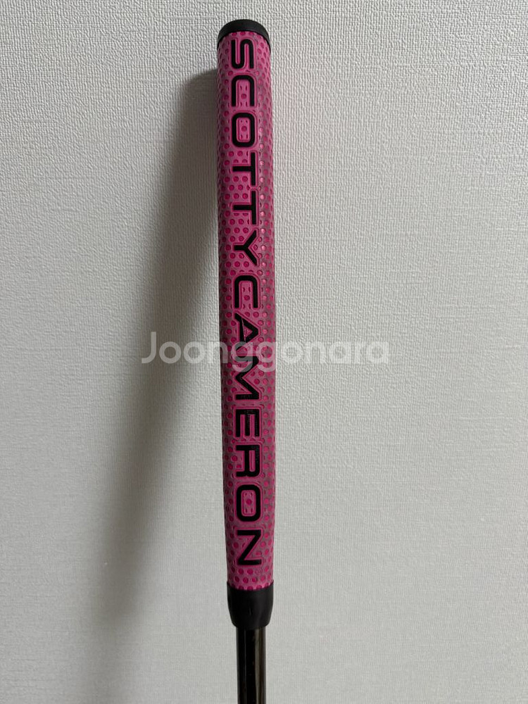 스카티 마이걸 2018--3