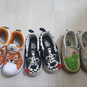택포 아디다스 호랑이, 반스 달마시안, 선인장 일괄